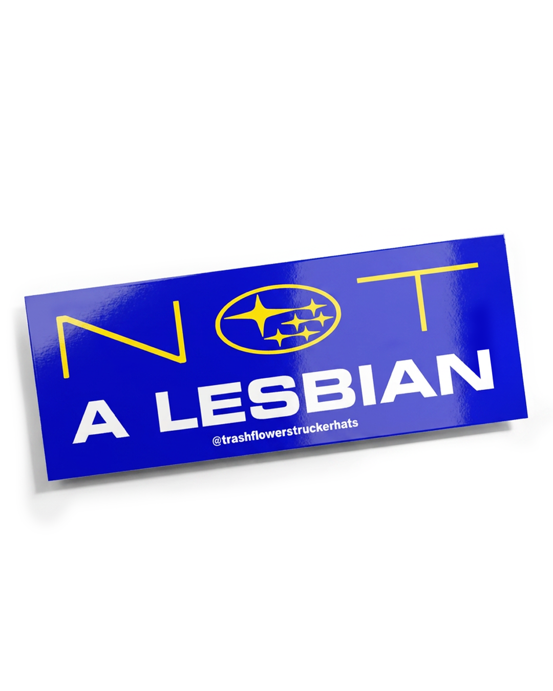 Defiant Not a Lesbian Subie Girl / Bro Sticker